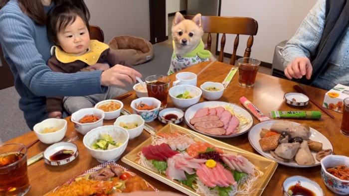 食卓に鎮座するポメくん