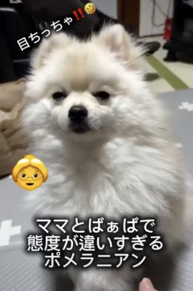 目がちっさい…