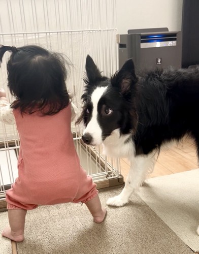 妹