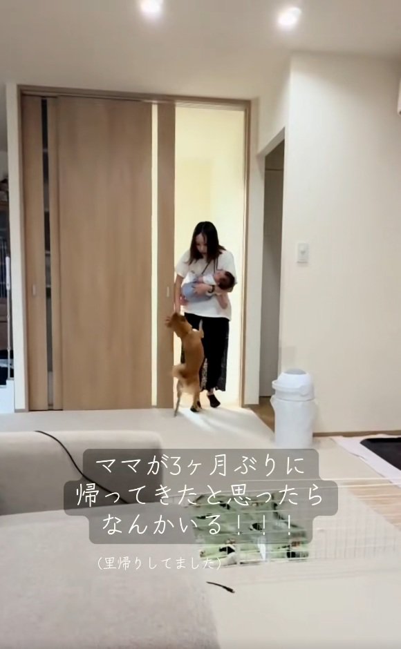 ママとの再会を喜ぶまるくん