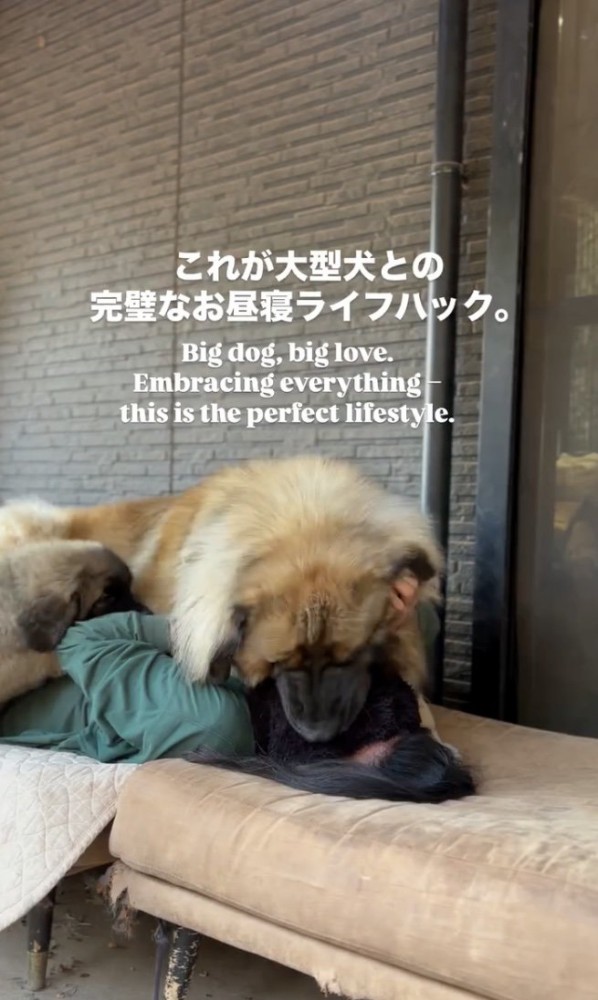 愛情たっぷりの時間