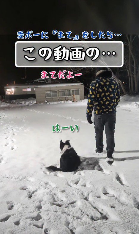 「マテだよー」と言って歩き出したら…