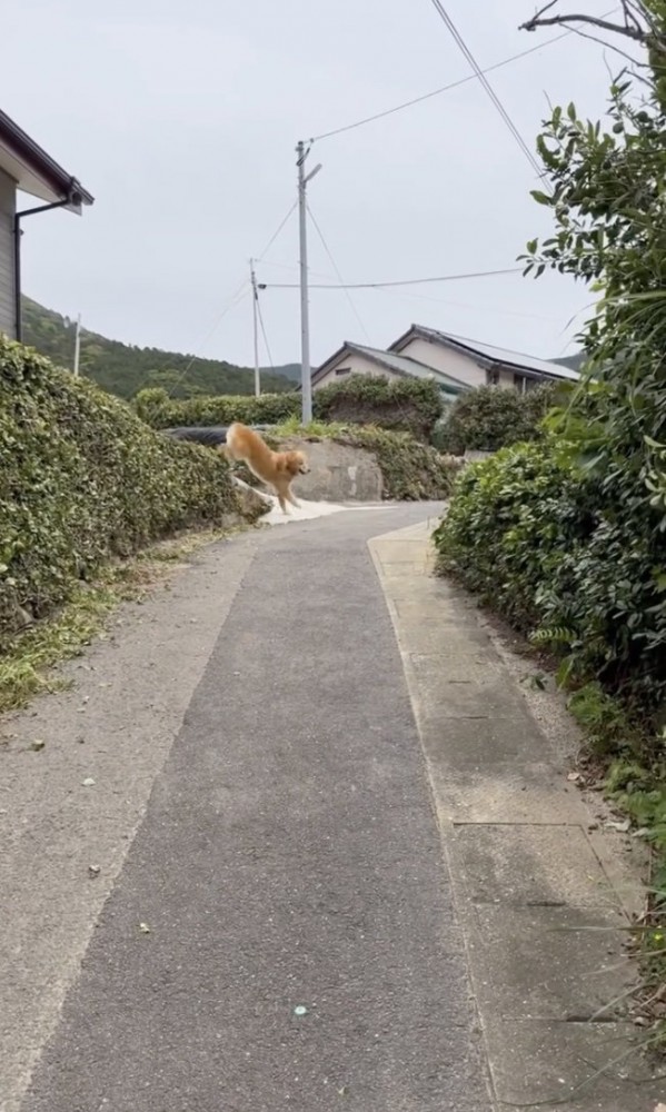 来た！！