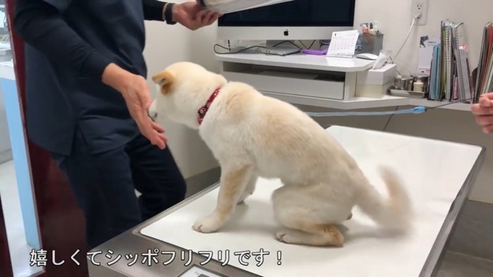 すっかり先生が大好きに♪