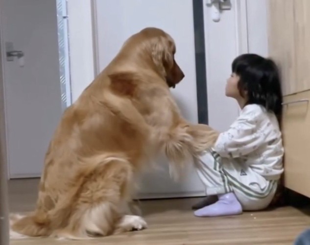 前足を乗せる犬