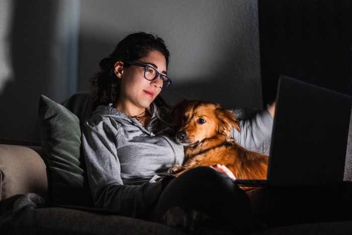 犬と夜更かししてPC視聴する女性