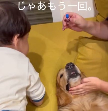 反対の目