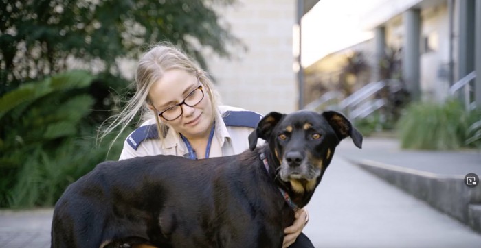 制服を着た女性の前に犬