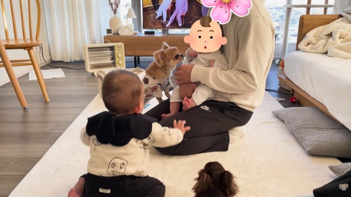 ハナちゃんと赤ちゃんたちの交流⑩