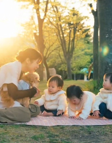 女性の膝の上に座って、3人の赤ちゃんを見つめる犬