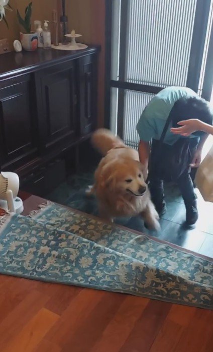 「また戻ったら嫌だよ!」