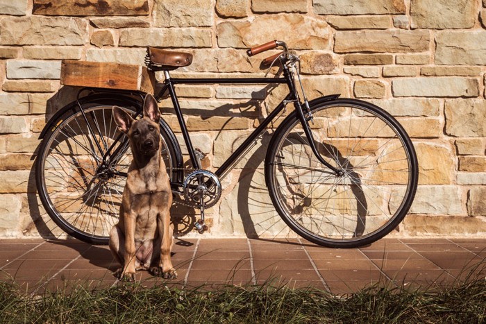 Vintage bike