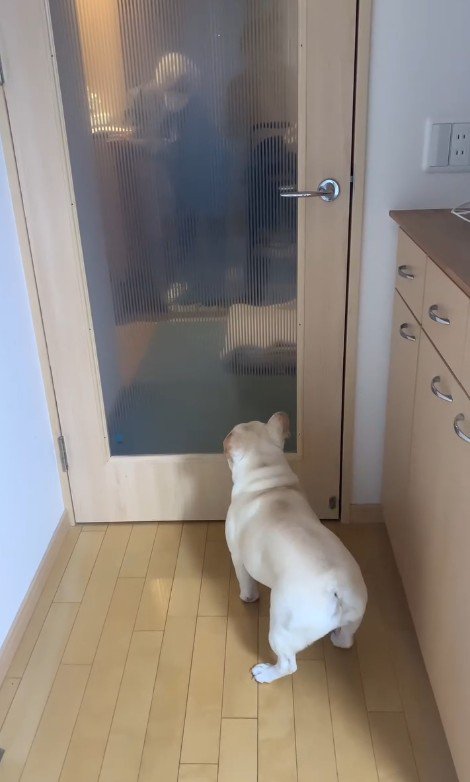 おばあちゃんを見つけたエルモくん4