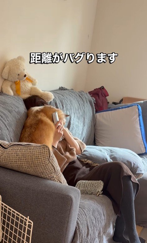 エルモちゃんのおもてなし2