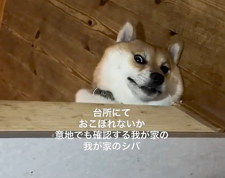目がバキバキで草