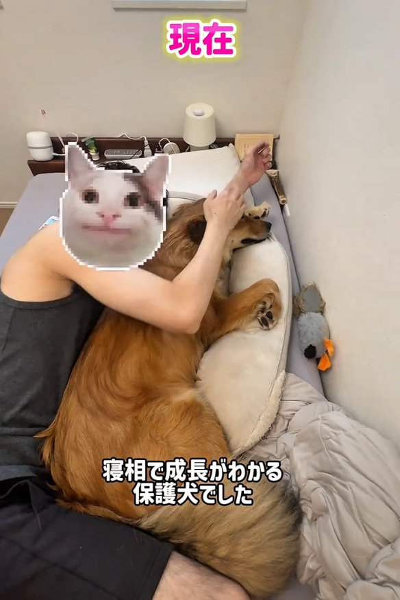 添い寝で寝るラッキーくん