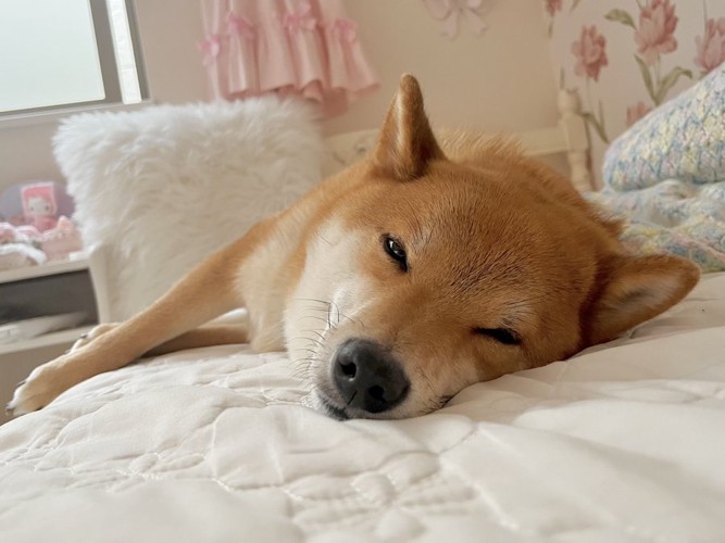 ぐっすり