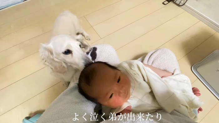 人の温かさを知った