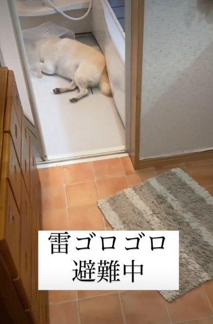 お風呂場にいた！！