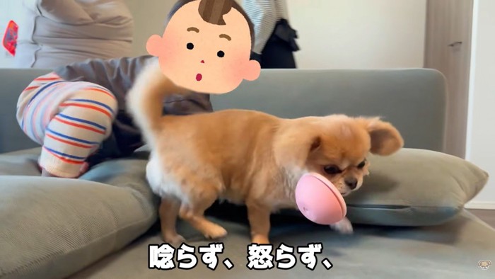 全然怒りません!