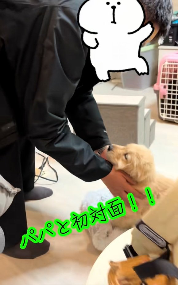 パパと初対面のかんくろう君