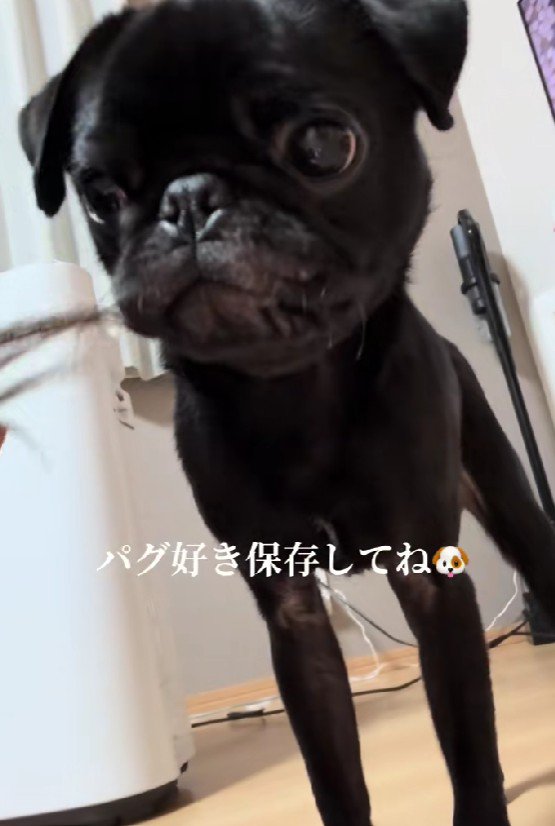 唯一無二なチャームポイント