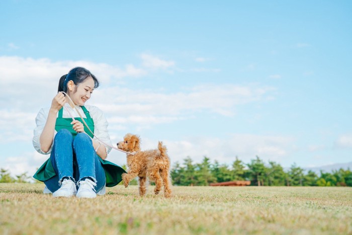 犬と散歩する女性