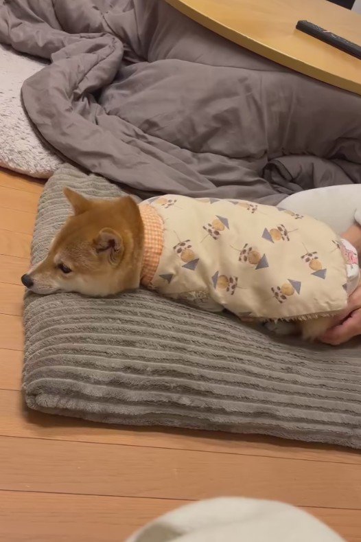 不服そうな顔にクスッ