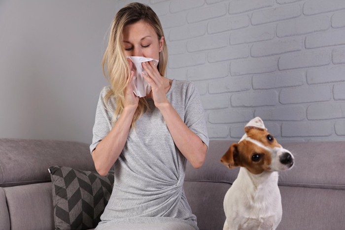 鼻をかむ女性と首をかしげた犬