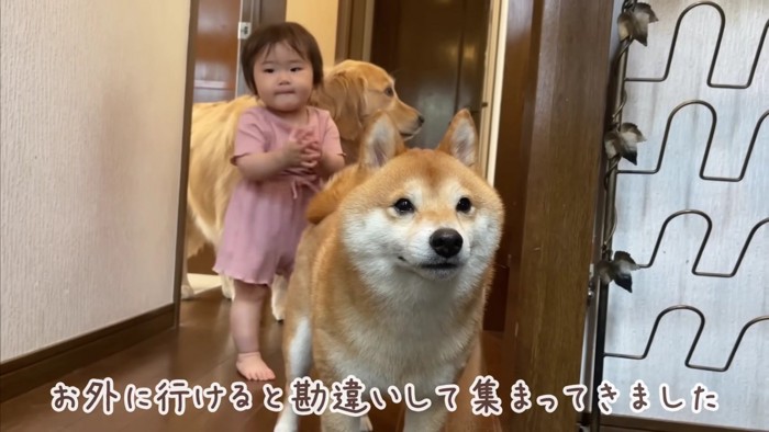「え…行かないの…？」