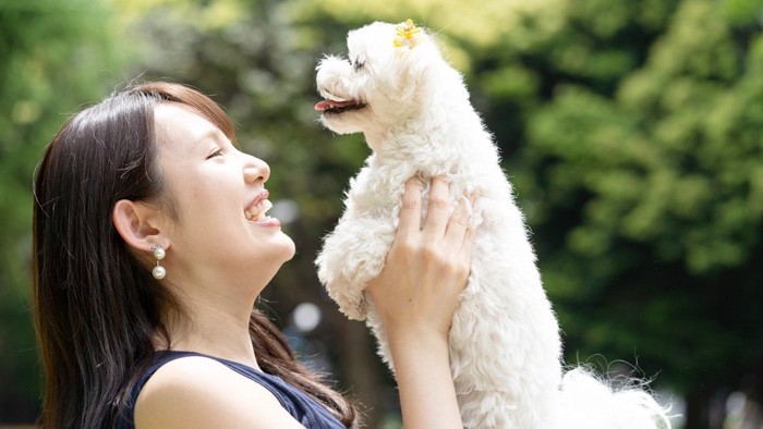 犬を抱き上げる女性