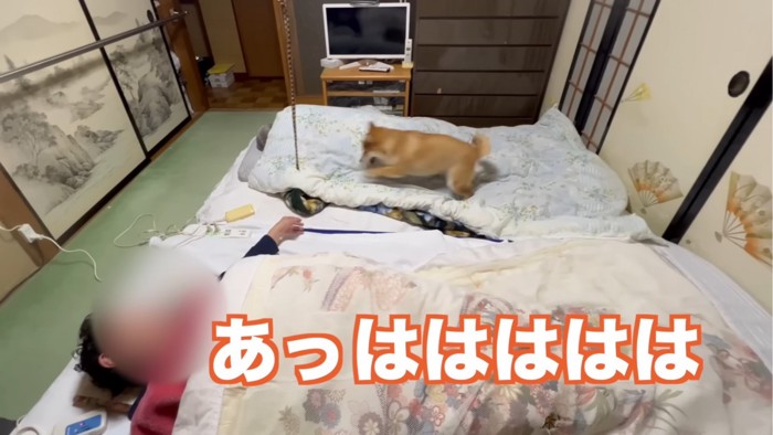 おじいちゃんの上に乗る犬