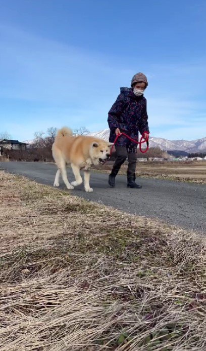 まるちゃんとの散歩が楽しい