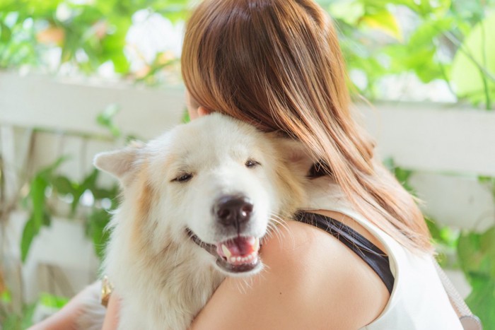 女性にハグされている犬