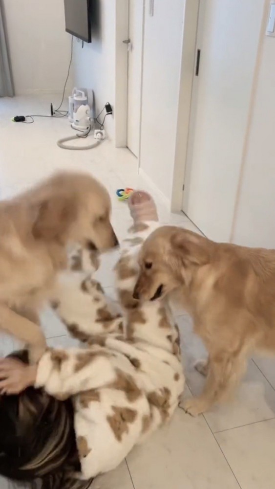 床に転げ落ちる女性