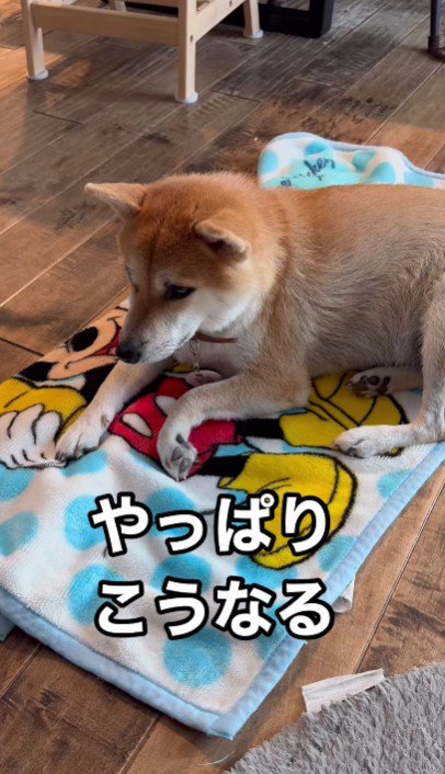 これが狙い…！？