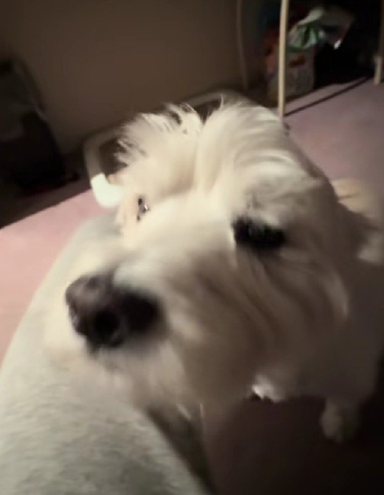 やっとのことで到着♡