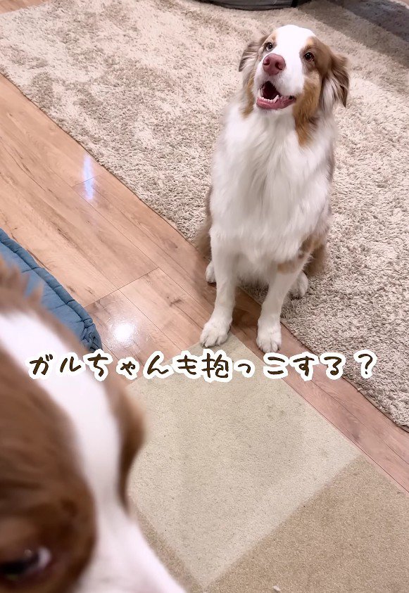 「僕も抱っこして」