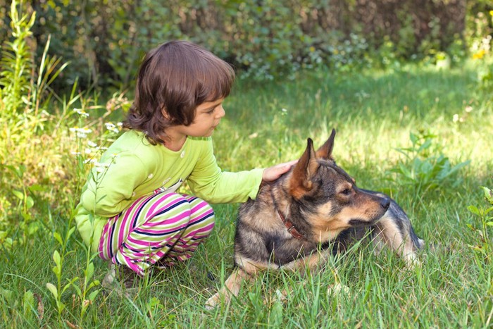 しゃがんで犬を撫でる子供