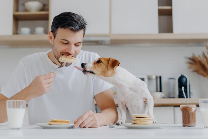 パンケーキを食べる飼い主と横から舌を出す犬