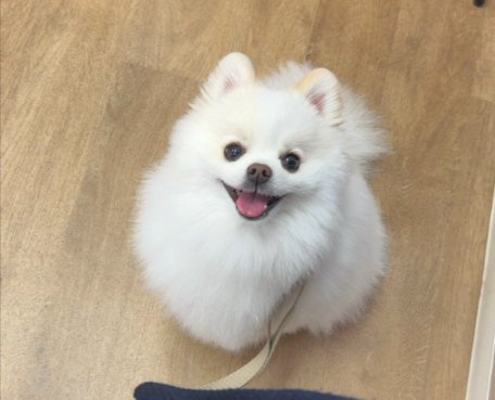 ふわふわ