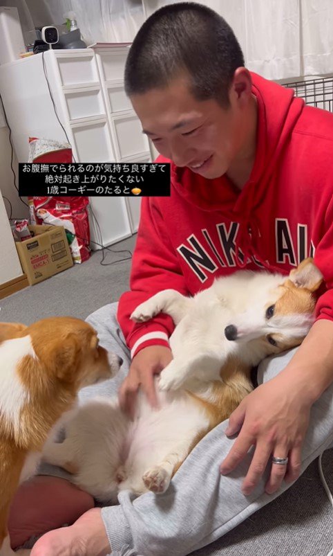 撫でられたいたるとちゃんVSパパさん⑩