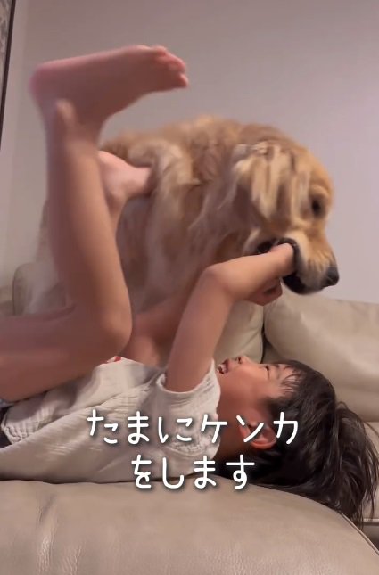 男の子の手を甘噛みするエルくん