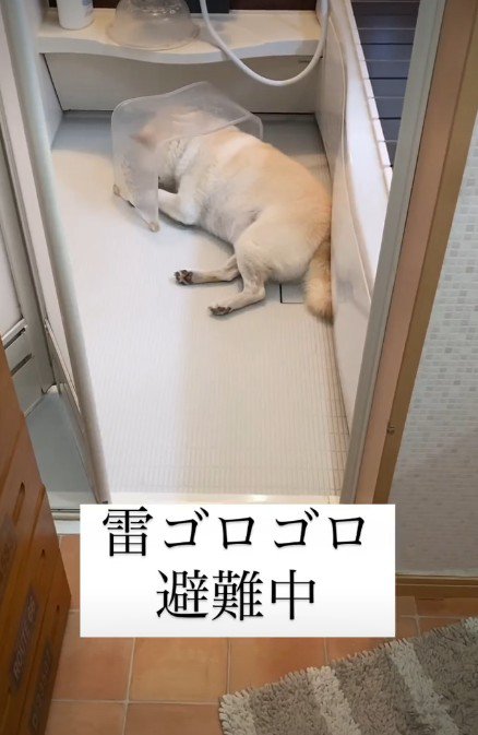 「音も聞こえないしさ…」