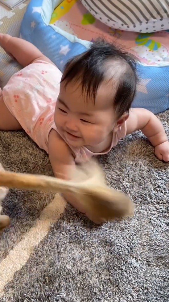 犬の方を見て笑顔になる赤ちゃん
