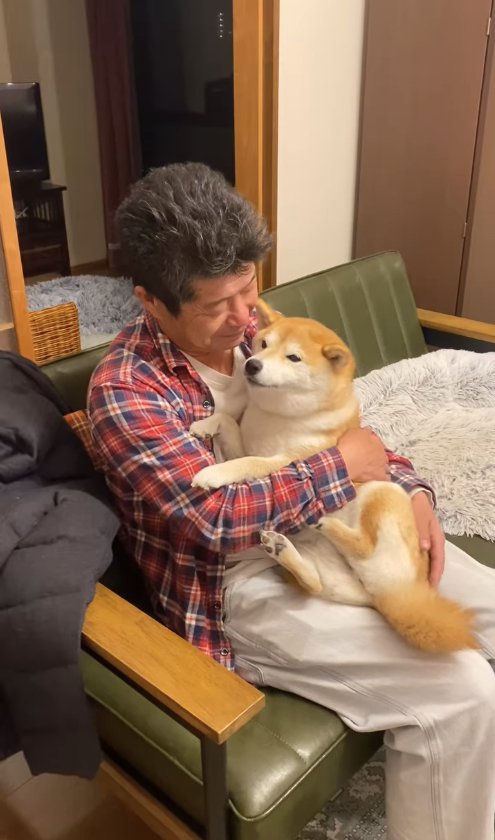 飼い主の膝の上で抱っこされて画面左側を見つめる柴犬