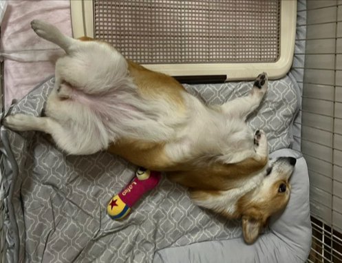 お兄ちゃん