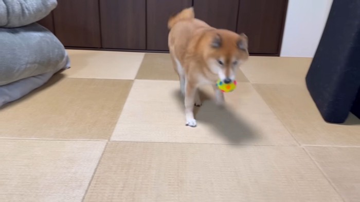 パパと遊んでたら…