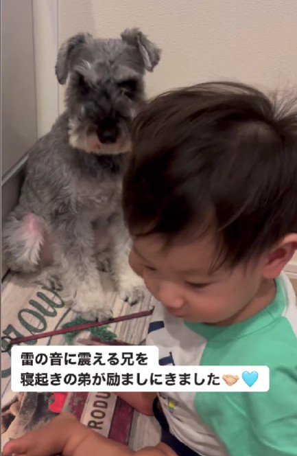 雷も怖くないね！