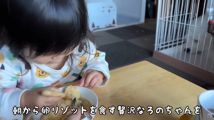 ろのちゃんが朝食中…